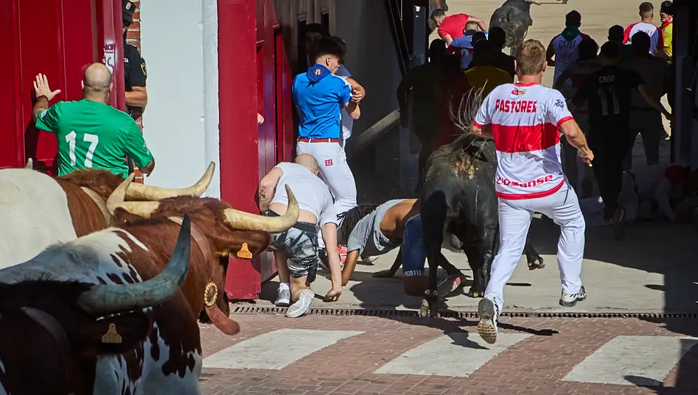 Encierros de las Fiestas de San Sebastián de los Reyes, Madrid, donde tras dos años sin festejos por la pandemia vuelven a celebrarse sus encierros.