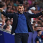 Diego Martínez con el Espanyol.