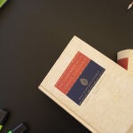 Diccionario de la Real Academia Española (RAE)