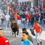 Baja por la calle de la resina de las reses de la ganadería Sánchez Herrero