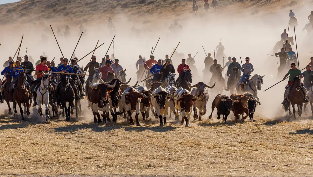 Los caballistas consiguen bajar a la manada por el embudo en formación de herradura
