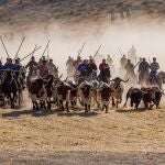 Los caballistas consiguen bajar a la manada por el embudo en formación de herradura