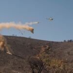 Trabajos de reforestación tras un incendio