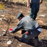 Agentes de Seprona durante una investigación