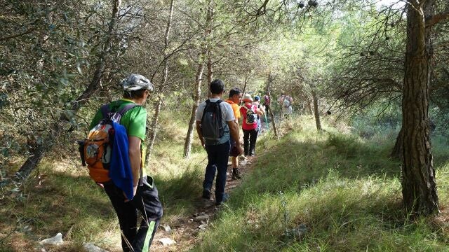 Se espera una primavera seca en Castilla y León