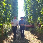 El consejero de Agricultura, Ganadería y Desarrollo Rural, Gerardo Dueñas, ha visitado esta mañana una explotación de cultivo de lúpulo en el municipio leonés de Turcia