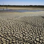 HUELVA, 03/09/2022.- La laguna de Santa Olalla, la laguna permanente más grande de Doñana y la última que ha mantenido agua en agosto, ha terminado por secarse completamente, lo que se ha debido a un periodo de sequía intenso y la sobreexplotación del acuífero por el complejo turístico onubense de Matalascañas, lo que ha agravado la situación en Doñana.