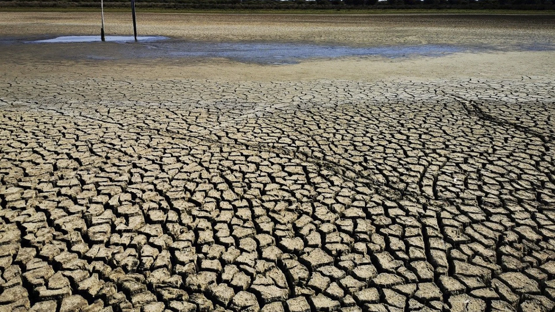 HUELVA, 03/09/2022.- La laguna de Santa Olalla, la laguna permanente más grande de Doñana y la última que ha mantenido agua en agosto, ha terminado por secarse completamente, lo que se ha debido a un periodo de sequía intenso y la sobreexplotación del acuífero por el complejo turístico onubense de Matalascañas, lo que ha agravado la situación en Doñana.