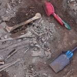 Varios huesos encontrados durante la excavación de una fosa de la Guerra Civil en el cementerio de Belchite, Aragón