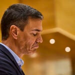 El presidente del Gobierno, Pedro Sánchez, en el pleno del Senado