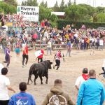 "Manjar, tras atravesar el puente sobre el río Duero en dirección a los pinares de Valdegalindo
