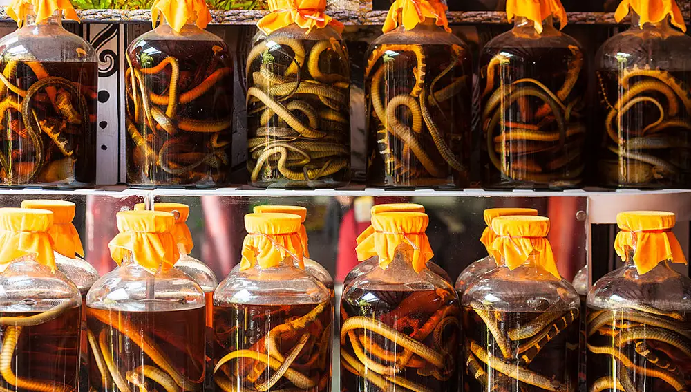 Botellas de vino de serpiente