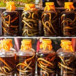 Botellas de vino de serpiente