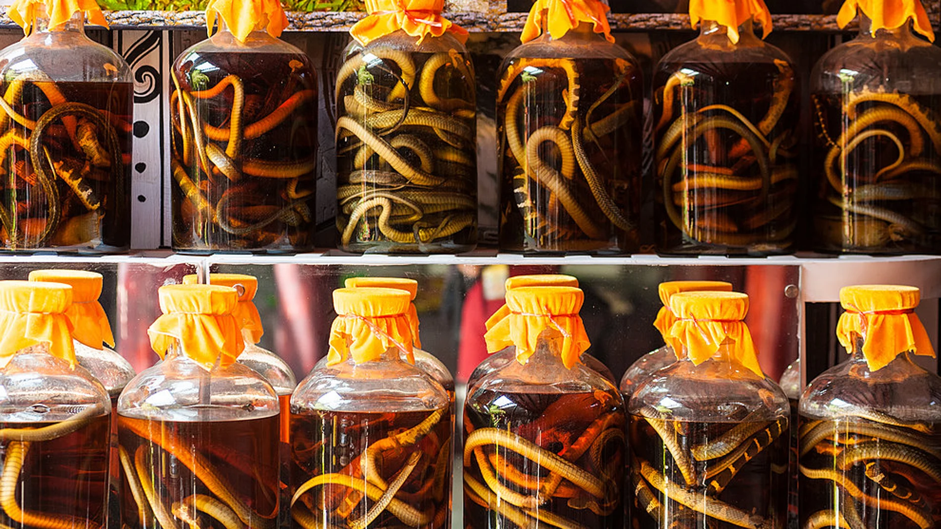 Botellas de vino de serpiente