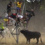 Torneo del Toro del Vega, el pasado martes en Tordesillas