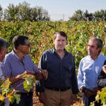 Fernández Mañueco junto a Núñez Feijóo durante una visita a un viñedo en Burgos