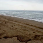 Restos del vertido del buque varado al Este de Gibraltar en La Línea de la Concepción. EFE/A.Carrasco Ragel