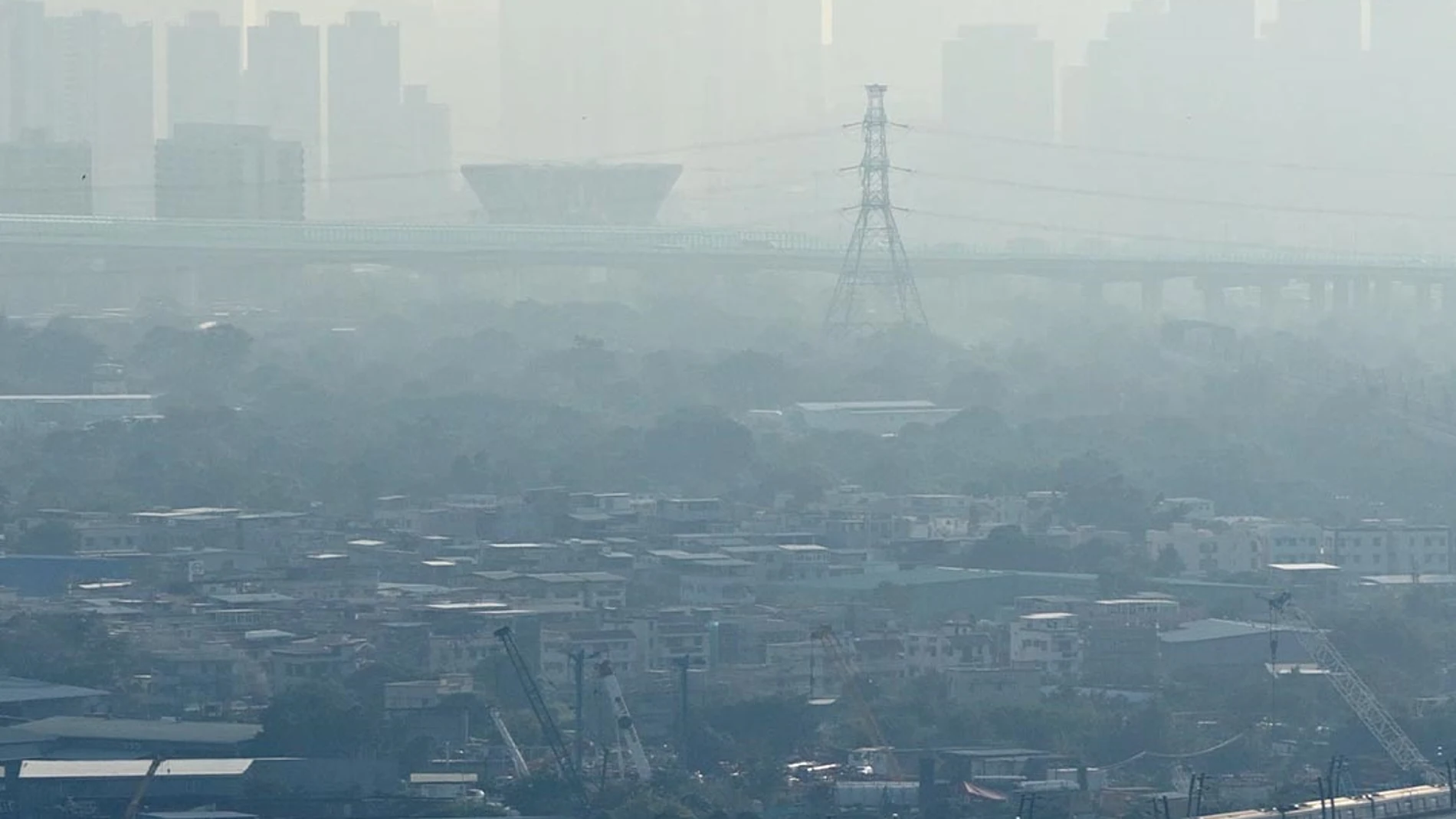 Neumólogos murcianos alertan de la "estrecha relación" entre contaminación y salud respiratoria