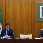 El vicepresidente y consejero de Turismo, Regeneración, Justicia y Administración Local, Juan Marín, en comisión parlamentaria