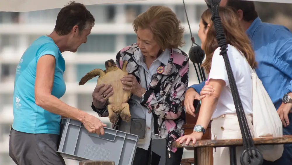 PALMA DE MALLORCA, 24/09/2022.- La reina Sofía sostiene una tortuga a bordo del velero "Tofteevag" de la asociación Alnitak junto a miembros del proyecto "Libera" en aguas de Andratx (Palma de Mallorca, isla de Mallorca), este sábado. Doña Sofía ha participado en una limpieza de residuos marinos y en la liberación de dos tortugas recuperadas tras ser rescatadas heridas, todo ello el marco del acuerdo de colaboración que une a la Fundación Reina Sofía y el Proyecto "Libera" desde 2018. EFE/ Atienza / POOL