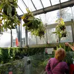 El Real Jardín Botánico cumple 265 años de investigación y divulgación