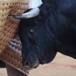 Ser ganadero de toros bravos hoy día es difícil de rentabilizar