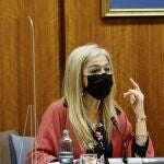La consejera andaluza de Cultura, Patricia del Pozo, hoy en el Parlamento regional
