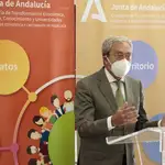 El consejero de Transformación Económica, Industria, Conocimiento y Universidades, Rogelio Velasco, ha presentado hoy el visor