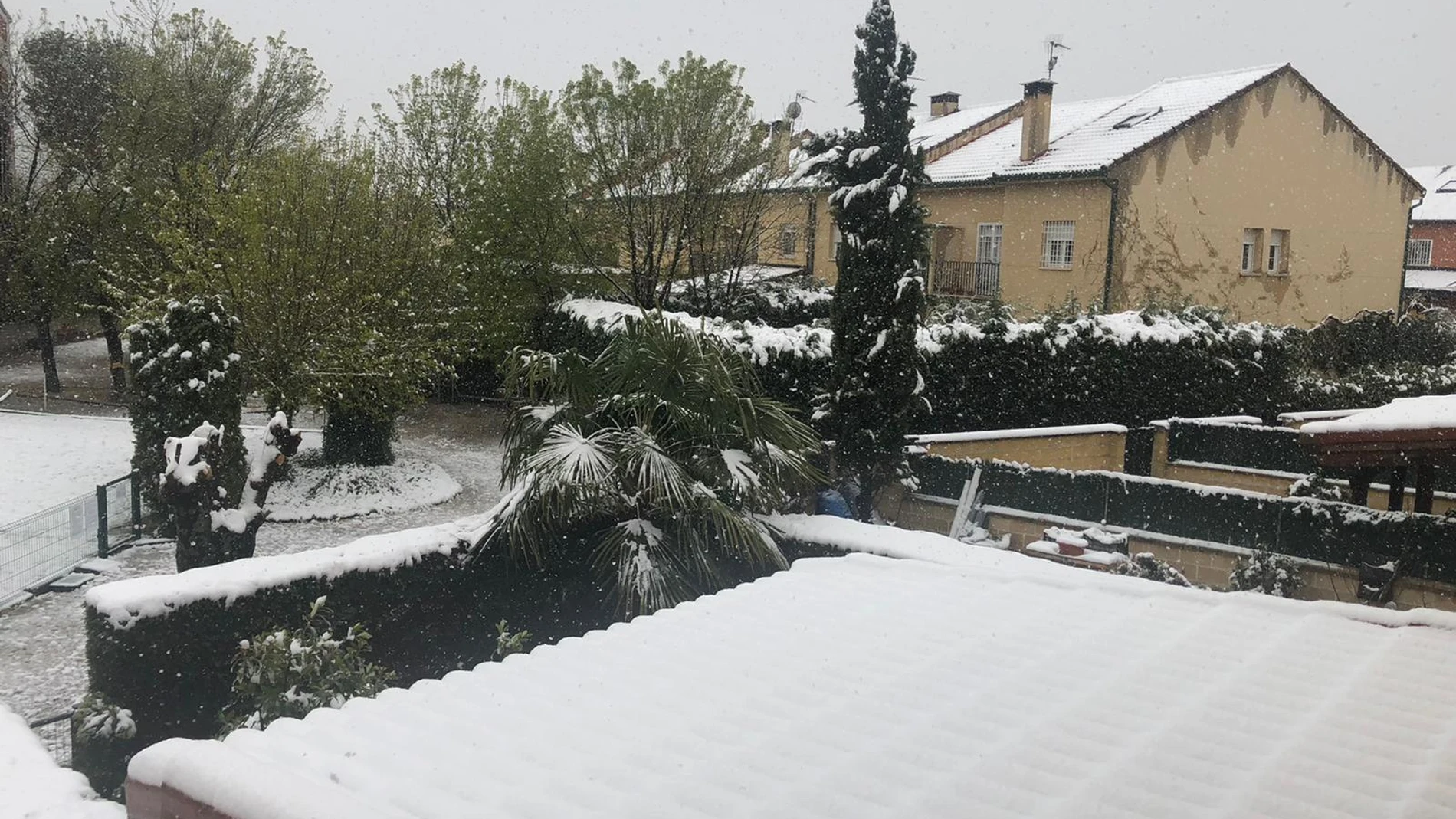 Nieve en Madrid