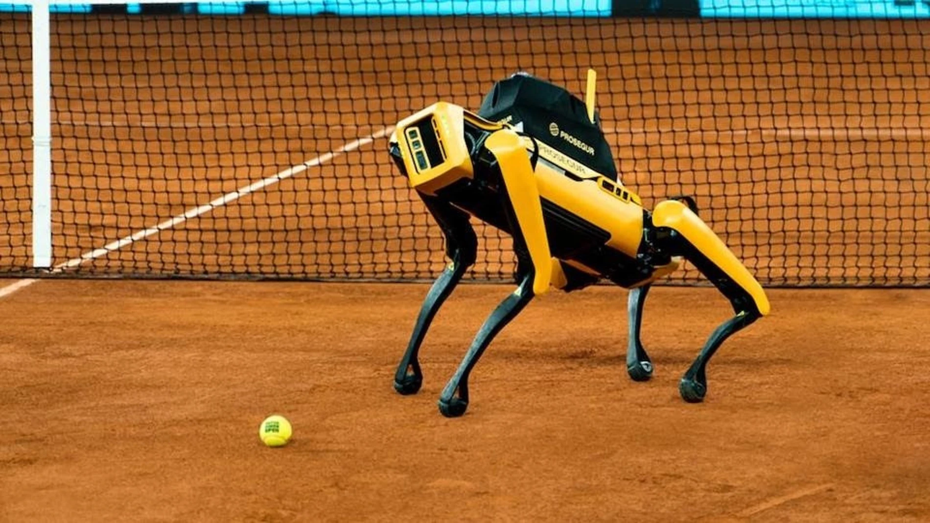 "Yellow", el perro robot que formará parte del dispositivo de seguridad para el Mutua Madrid Open