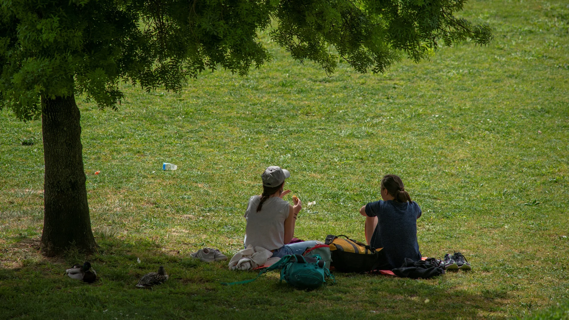 Suben las temperaturas en Castilla y León