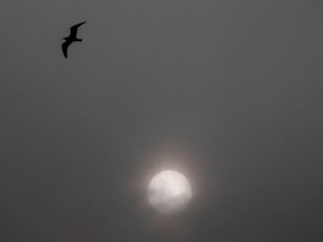 Imagen de archivo de polvo africano