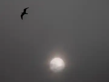 Imagen de archivo de polvo africano Imagen de archivo de polvo africano