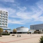 Universidad Rey Juan Carlos