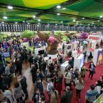 Fitur.- El estand de Castilla-La Mancha, reconocido con el premio al mejor diseño dentro de las comunidades autónomas