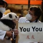 El alcalde de Madrid, José Luis Martínez-Almeida, muestra uno de los dos nombres elegidos por los internautas para los gemelos panda nacidos en septiembre, este viernes en el Zoo Aquarium de Madrid