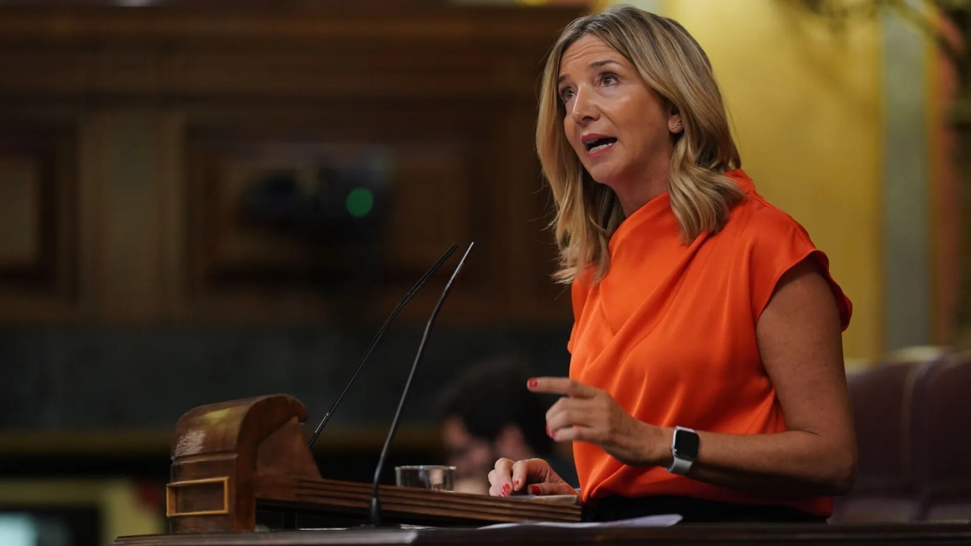 La diputada nacional del PP por Ávila y portavoz de Derechos Sociales del grupo popular en la Cámara Baja, Alicia García, interviene en el Congreso de los Diputados