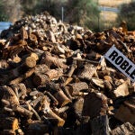 El Consejo de Ministros acaba de aprobar una rebaja del IVA del 21% al 5% en los suministros de pellets, briquetas y leña que entrará en vigor el 1 de octubre