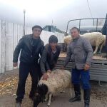 El gobierno regional de Tuva regala a cada familia una oveja con el fin de reclutar soldados para la guerra en Ucrania