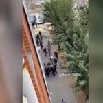 Pelea en pleno día y en la calle