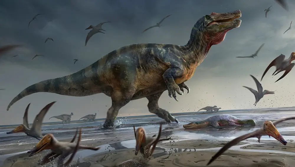 Reconstrucción artística del "espinosáurido White Rock" en las llanuras de arena de la Formación Vectis (Isla de Wight, Reino Unido), reclamando un plesiosaurio varado de algunos pterosaurios carroñeros | Fuente: Anthony Hutchings / Universidad de Southampton / AFP