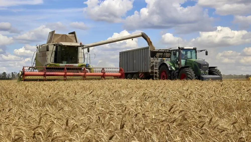 Una cosechadora recoge trigo en un campo en imagen de archivo