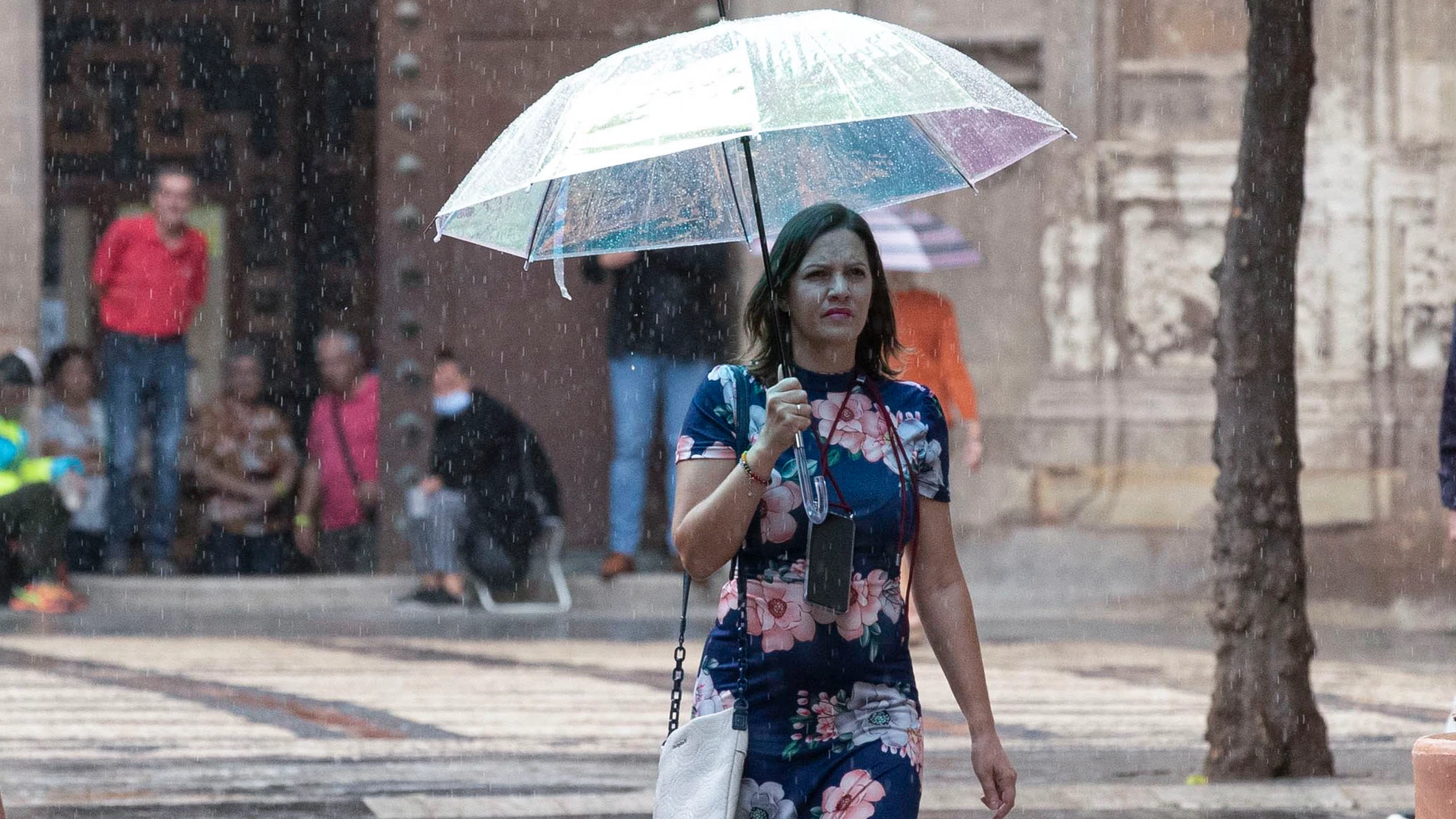 Una mujer se protege de la lluvia con un paraguas en la calle Trapería de Murcia