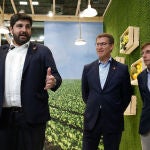 El alcalde de Madrid, José Luis Martínez-Almeida (d), el presidente del PP, Alberto Núñez Feijóo (c), y el presidente de Murcia, Fernando López Miras (i), visitan este martes la feria "Fruit Attraction" inaugurada en el recinto de IFEMA, en Madrid. EFE/David Fernández