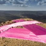 Un lazo color de rosa