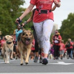 Varias personas pasean con sus mascotas en Madrid