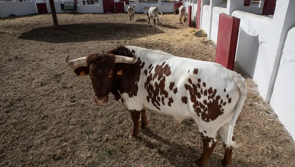 Venta de Batán