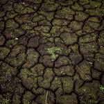 El cambio climático está poniendo en riesgo la viabilidad de los productos agrícolas y ganaderos