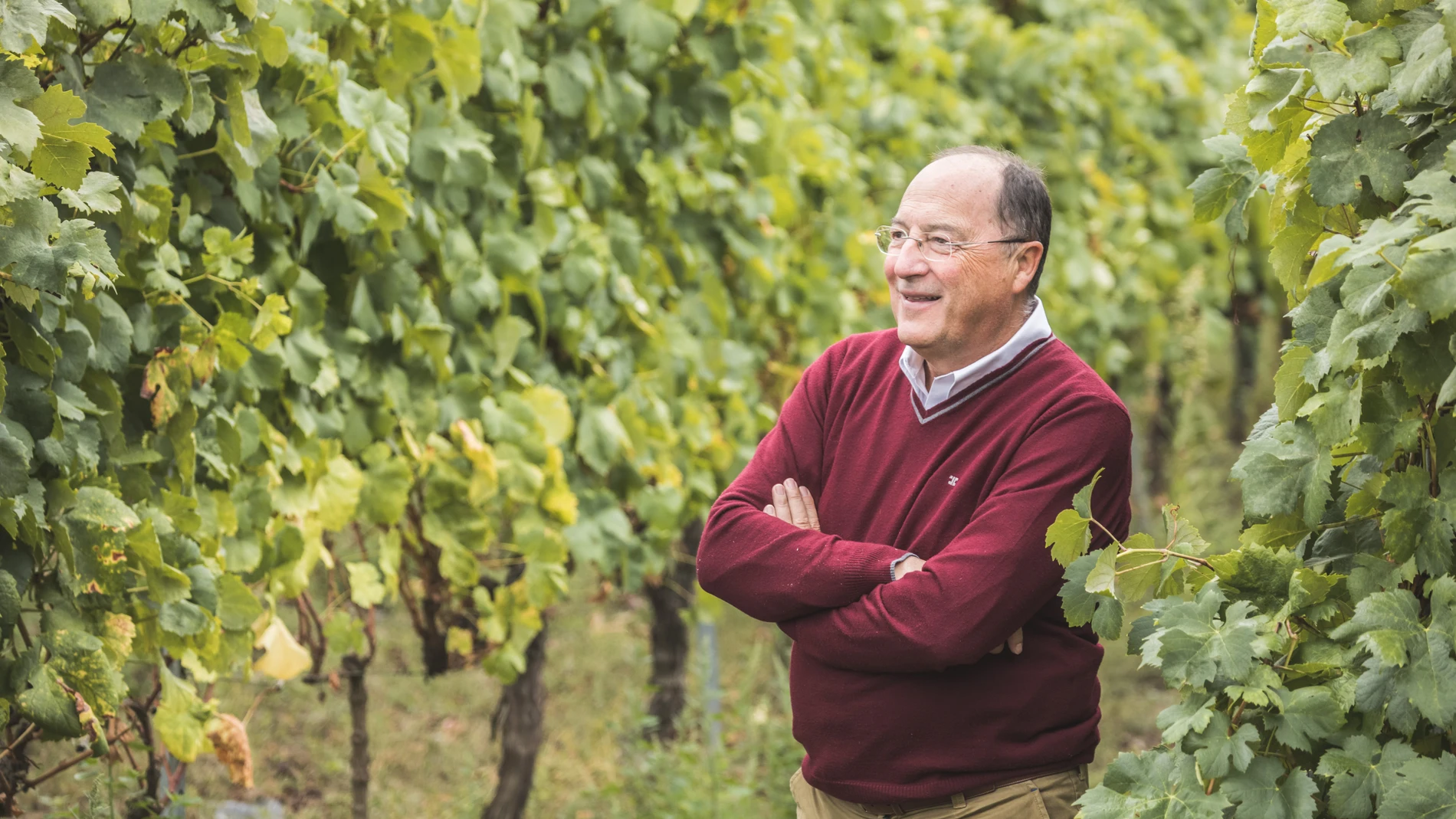 Carlos Moro de Bodegas Familiares Matarromera