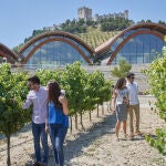 Vendimia en Bodegas Protos